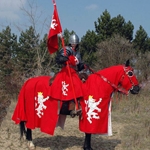Horse Trapper with Lion Rampant Charge 25-MA2103