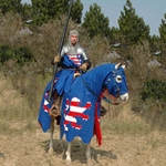 Horse Trapper with Surcoat and Banner 25-MA2104
