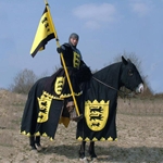 Horse Trapper Crown Shield GH2102