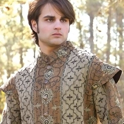 Royal Court Renaissance Doublet 100874