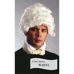 Barrister Wig HW00246